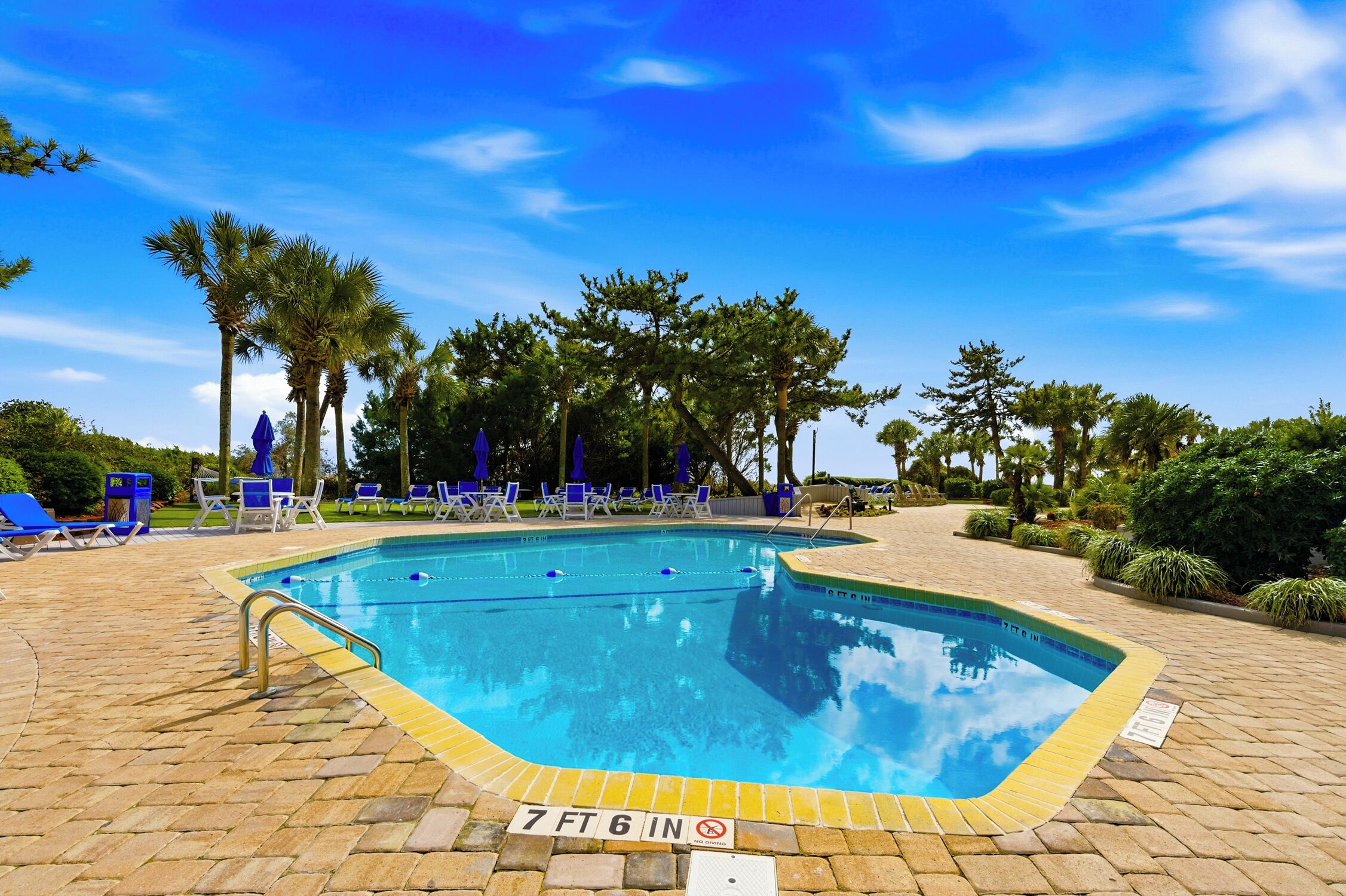 A swimming pool with blue chairs and palm trees.