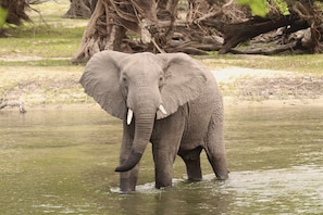 Front of property - Kafue River Lodge (Kafue National Park)