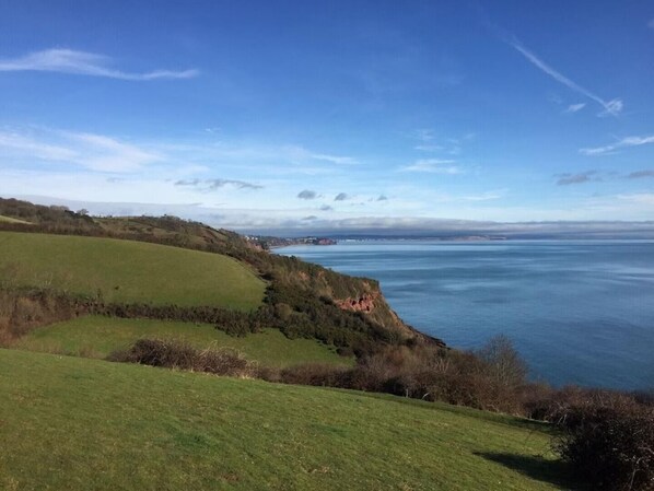 A coastal landscape with grassy fields and a view of the sea.