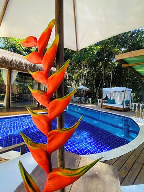 Living area - Pousada Casa de Sapê (Porto Seguro)