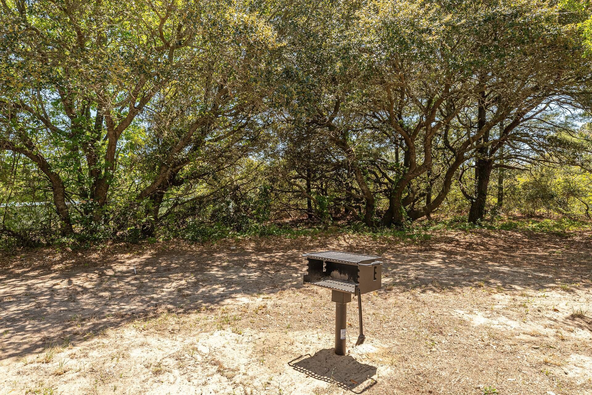 A bird feeder in a wooded area with a dirt path.