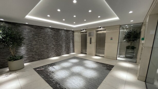 A modern lobby with a patterned rug, recessed ceiling lights, a stone wall, and potted plants. - Tussauds Appartment (London)