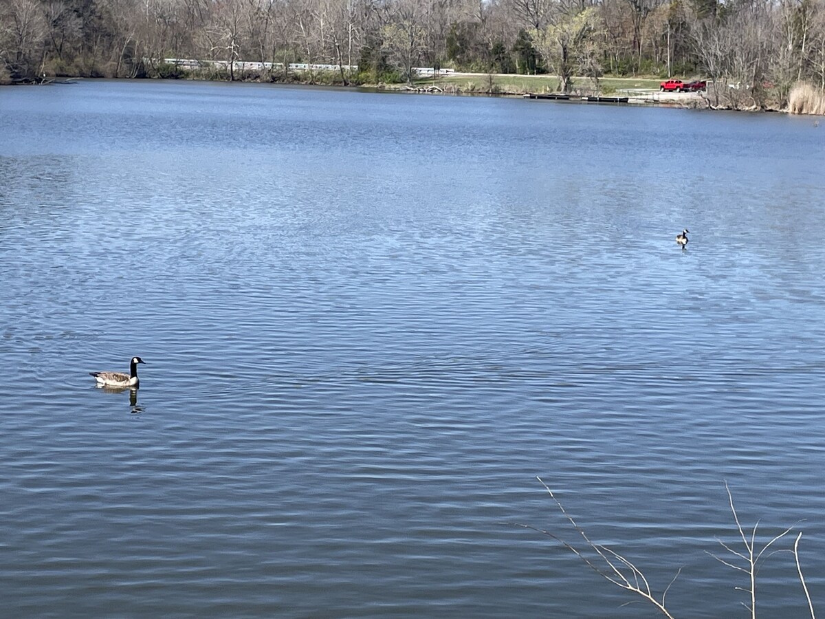 Imagen de perfil del propietario o de la propietaria