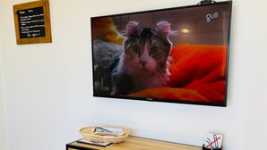 A television mounted on a wall displaying a cat, a wooden cabinet with glass doors below it, and a small basket on top of the cabinet. - Appart 4 Pers Climatisé Avec Terrasse, Parking et Piscine Collective - V0816 (Vias)