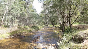Property grounds - Basecamp Sawmill - A Perfect Country Cottage (Sawmill Settlement)