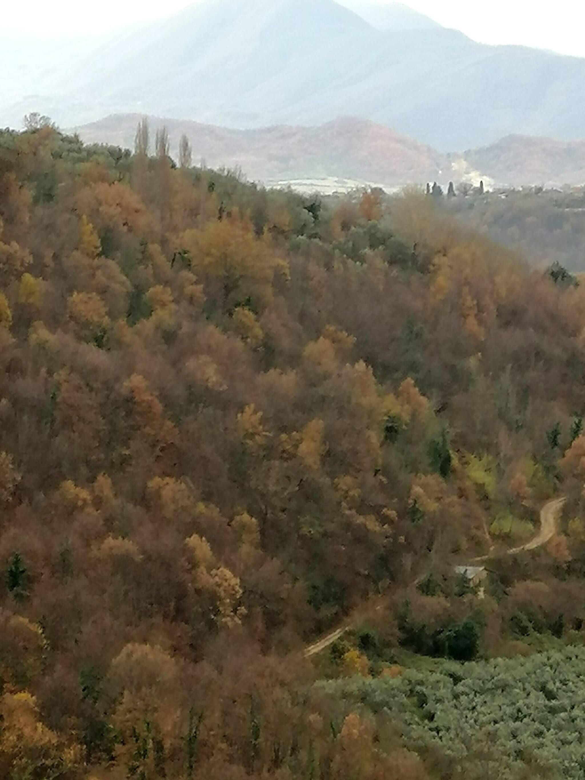 Un paisaje montañoso con bosque denso y un camino sinuoso.