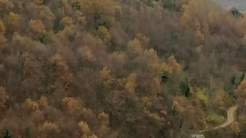 Eine gebirgige Landschaft mit dichtem Wald und einer kurvenreichen Straße.