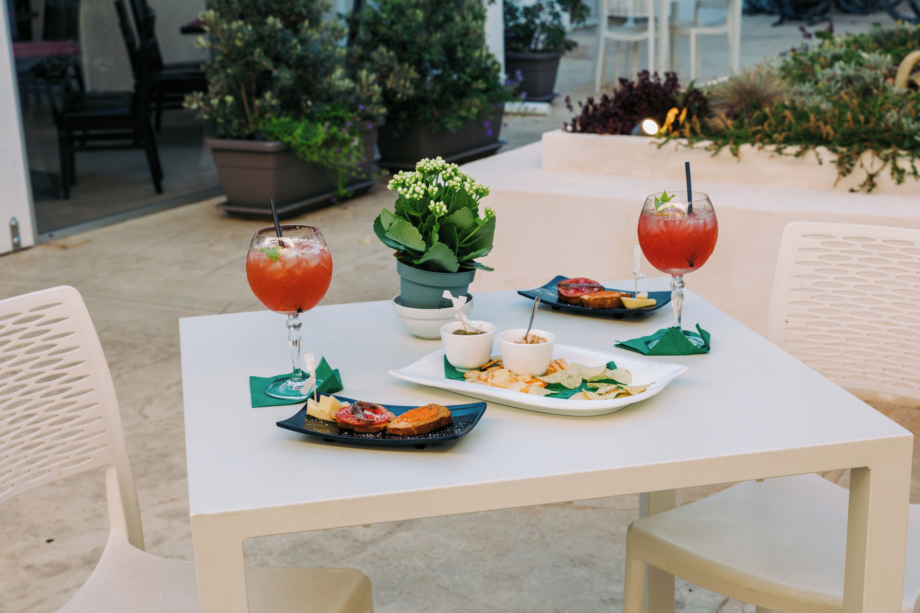 A table set with a meal, two drinks, and a potted plant.