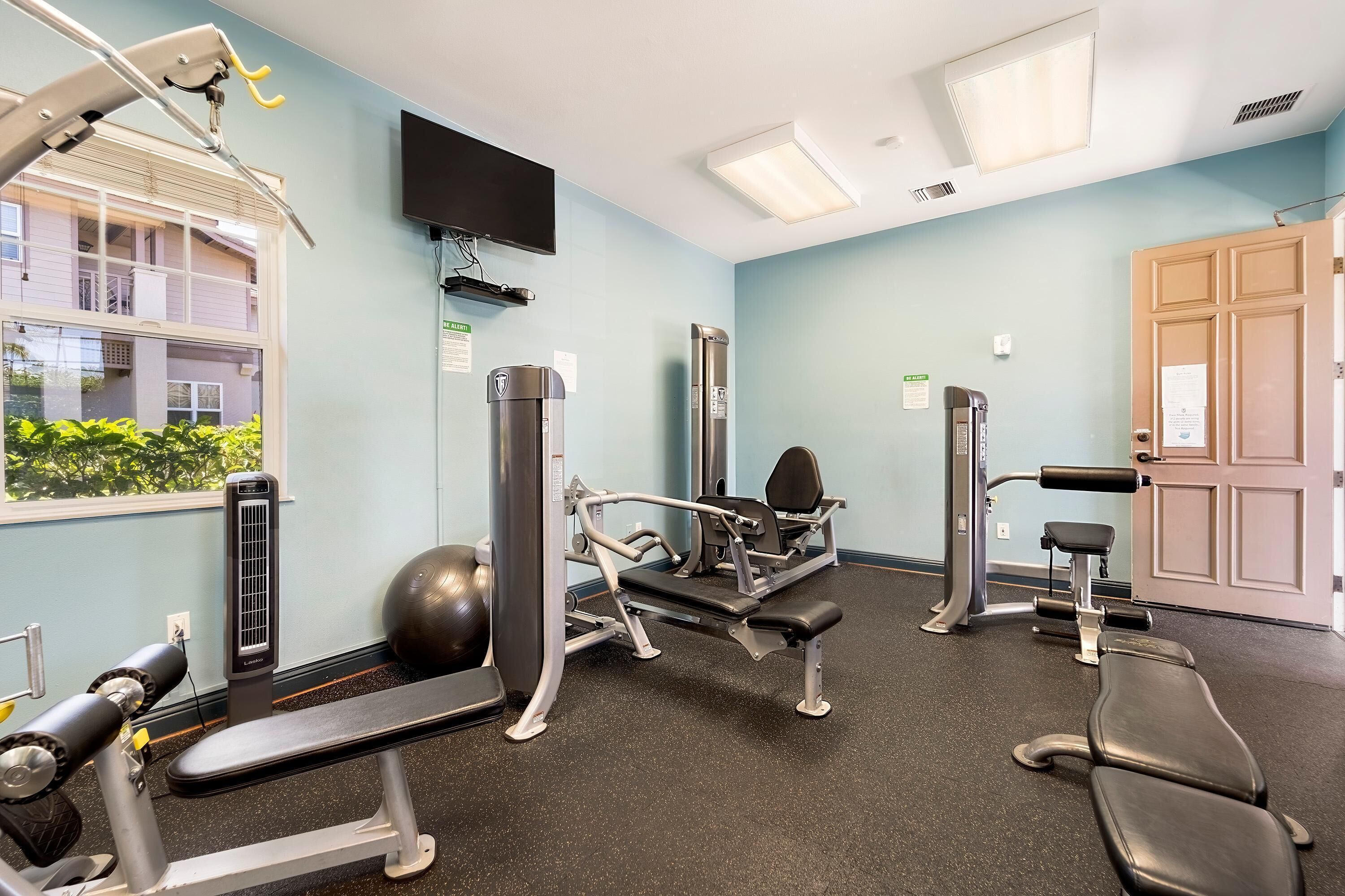 Een sportschool met trainingsapparatuur, een televisie en een raam met uitzicht op groen.