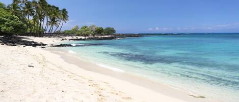 A beach with clear turquoise water, white sand, and palm trees.