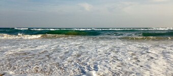 Total charm in the middle of an orange grove with private swimming pool.