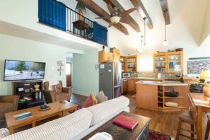 TV - Alpenglow- Great location in Town of Crested Butte (Crested Butte)