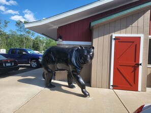 Exterior - Trails Inn Quadna Mountain Motel & RV (Hill City)