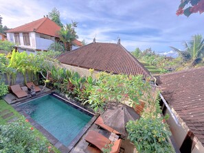 Outdoor pool - Modern room with natural lighting
(Bali)