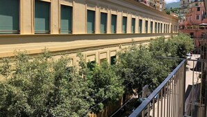 Geschlossene Fensterläden an einer Hausfassade, mit Bäumen im Vordergrund und Gebäuden im Hintergrund.