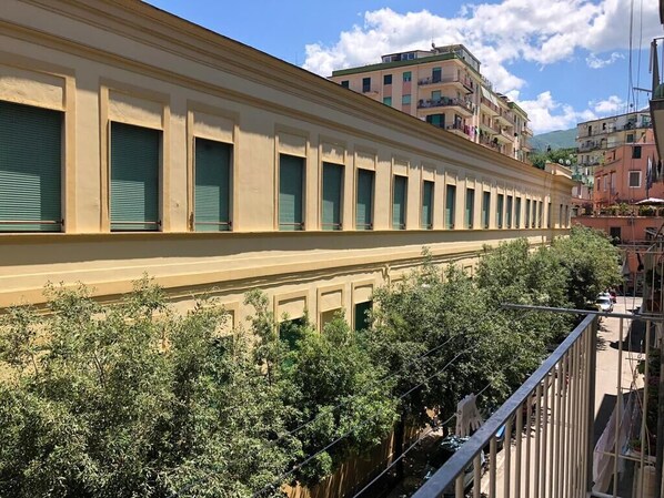 A row of closed shutters on a building facade, with trees in the foreground and other buildings in the background.