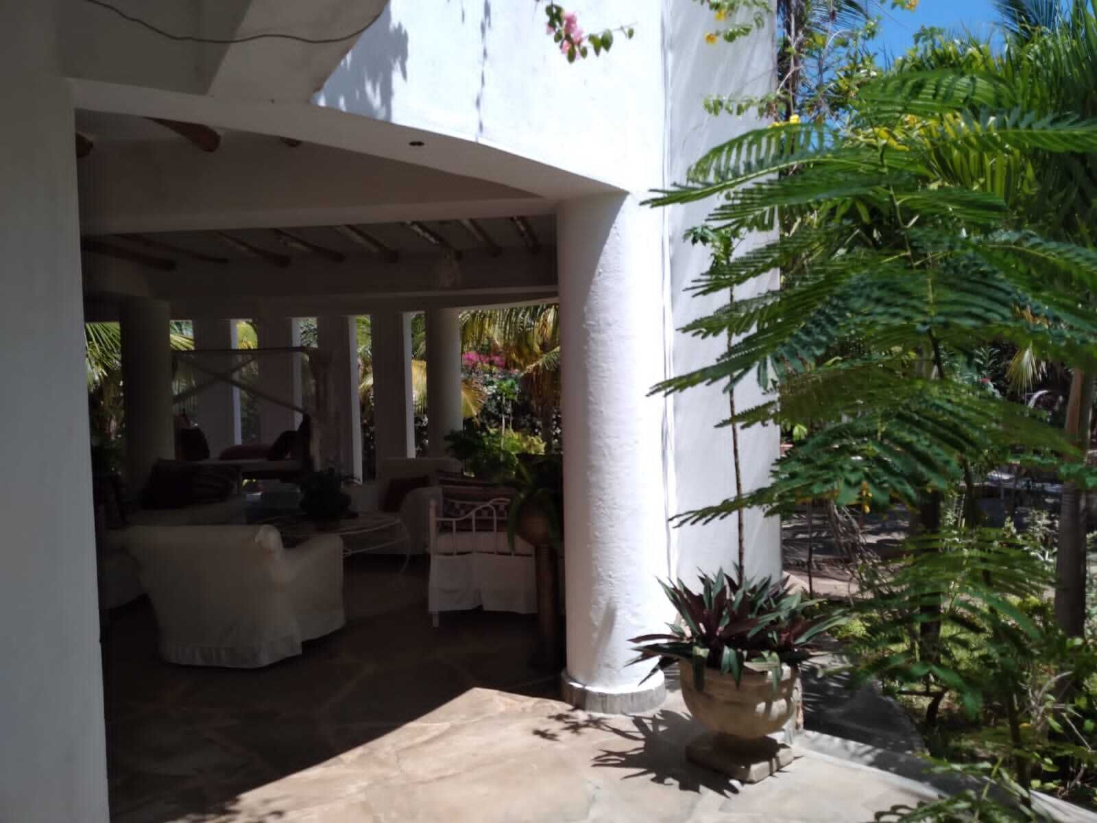 An outdoor patio area with a covered seating area, a stone floor, and various potted plants.