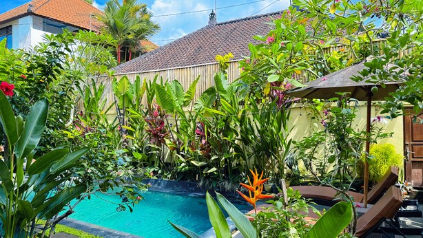 Ein Schwimmbecken, umgeben von üppiger tropischer Vegetation und einem Holzzaun.