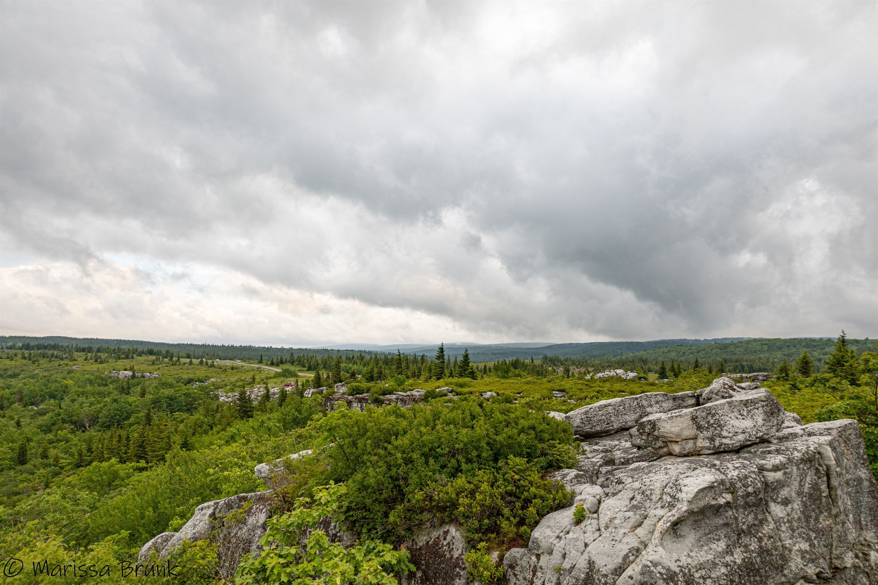 A mountainous landscape with dense forest and rocky outcrops.