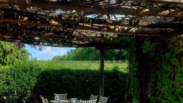 Una pérgola con flores moradas, una mesa con sillas y un jardín al fondo.
