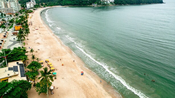 A beach with a curved shoreline, palm trees, and buildings along the coast. - Beira Mar Caragua (Caraguatatuba)