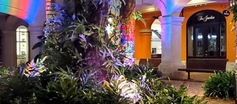 Almond Tree Studio - Modern A/C Apartment w/2 Queen beds in St. James