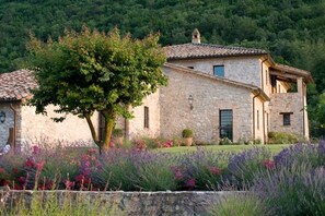 Exterior - Villa Subtilia (Umbria)
