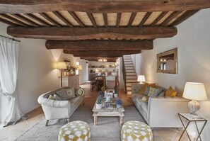 TV, fireplace, DVD player, books - Villa Subtilia (Umbria)