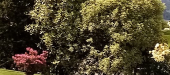 le Gite du Domaine du Cotis