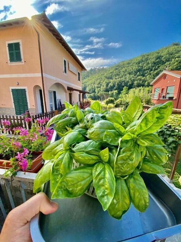 Detalle del exterior