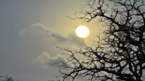 Une pleine lune dans un ciel nocturne, avec les branches nues des arbres se détachant en silhouette sur son disque lumineux.
