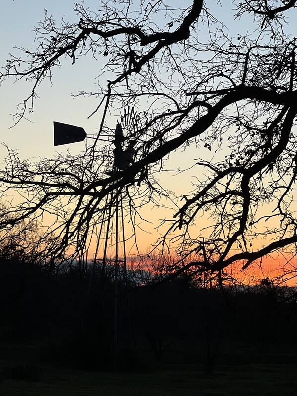 Silhouette di un albero e di un lampione sullo sfondo di un cielo al tramonto.