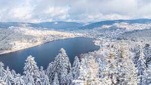 Aerial view - Pretty ski nest in the city center (Gérardmer)