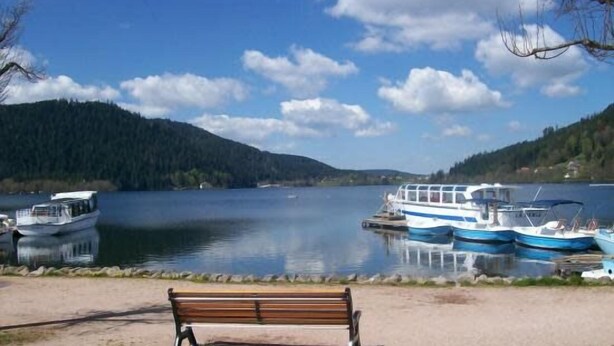 A lakeside view with a bench, boats, and a forested hill. - Pretty ski nest in the city center (Gérardmer)