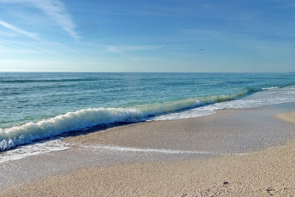 Condo, Multiple Beds (Oceana 204 East) | Beach | On the beach
