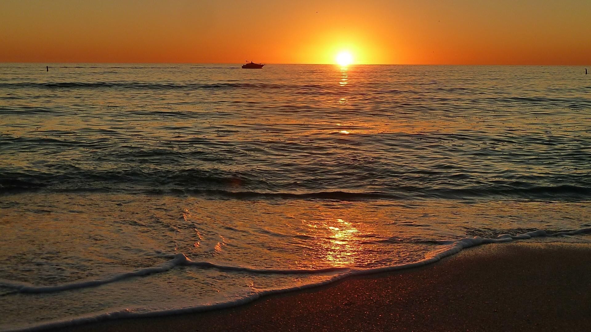 Appart'hôtel, plusieurs lits (Oceana 202 West) | Plage