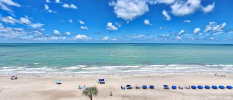 Condo, Multiple Beds (Sand Castle1 804) | Beach | On the beach