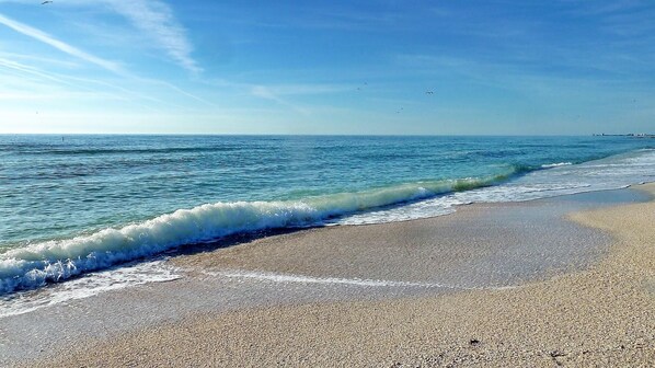 Condo, 1 Double Bed with Sofa bed (Sunset Beach House - Beach Hugger 2) | Beach - Sunset Beach House - Beach Hugger 2 (Treasure Island)