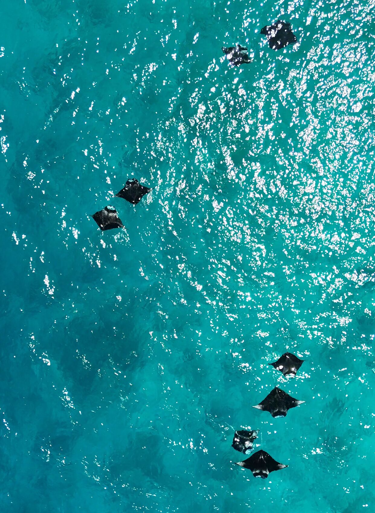 Foto - Raalhu Fonu Maldives