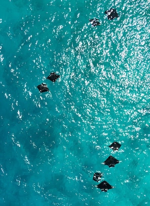 Boating - Raalhu Fonu Maldives  (Mahibadhoo)
