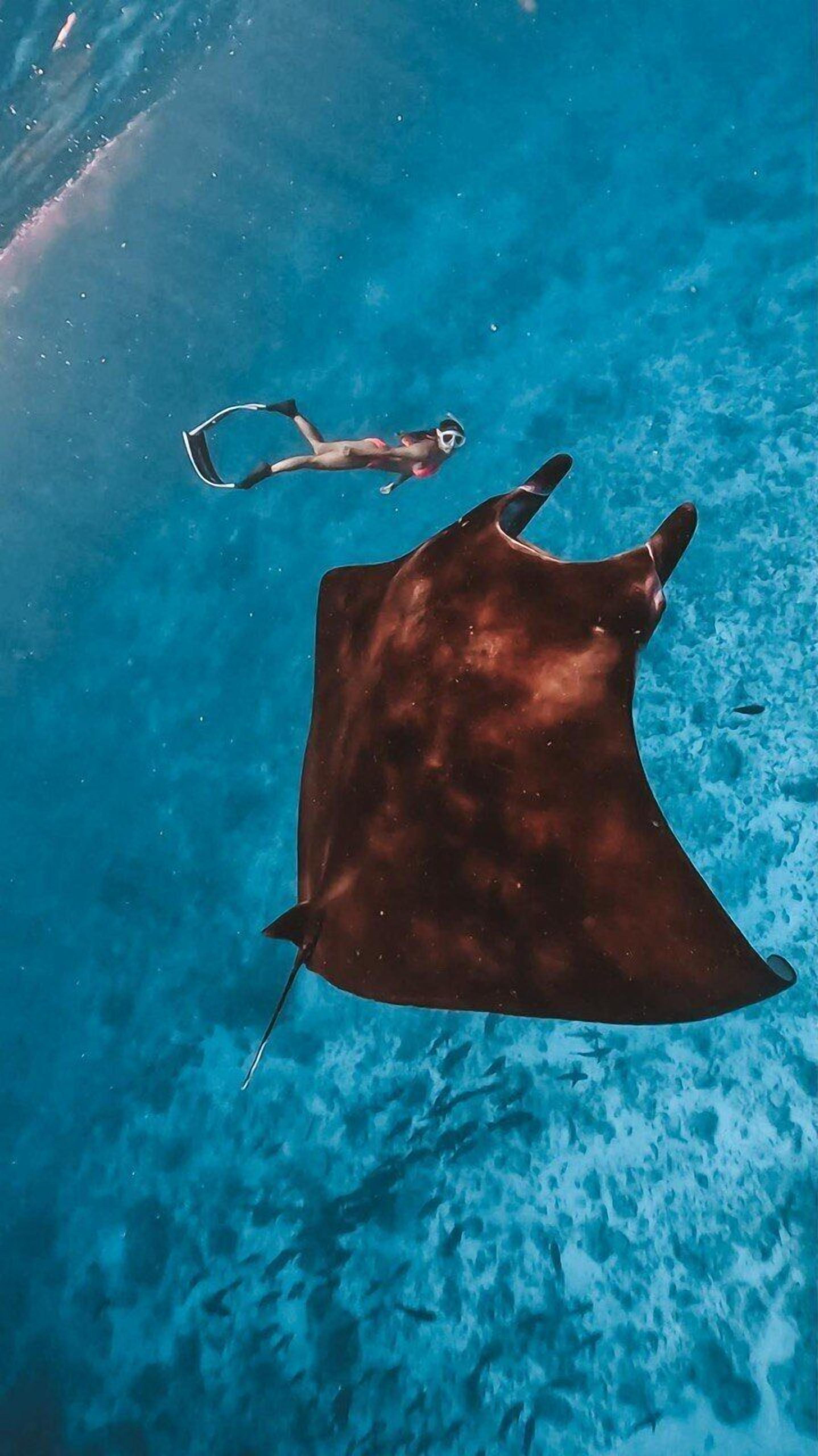 Foto - Raalhu Fonu Maldives
