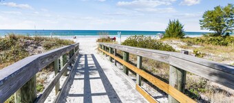 Sea Shell 14 - Premier