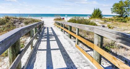 Sea Shell 14 - Premier