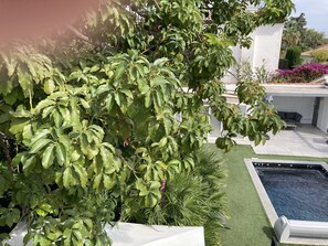 Áreas de la propiedad