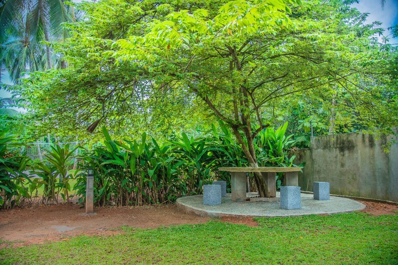 A garden with a central stone bench surrounded by lush greenery and a concrete wall.