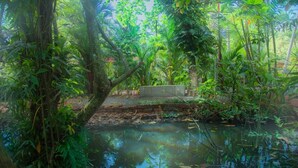 A natural water feature surrounded by dense greenery and a concrete bridge. - Villa Mandari (Dharga Town)