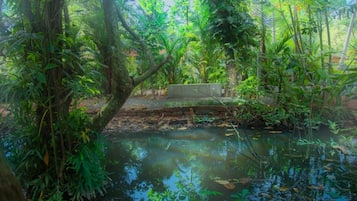 Ngoại thất
