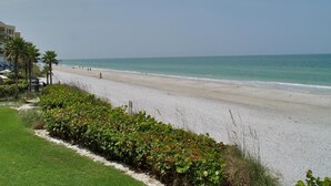 Une plage offrant une vue dégagée sur l’océan, un rivage sablonneux et quelques zones verdoyantes au premier plan.