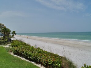 Una spiaggia con vista libera sull'oceano, una battigia sabbiosa e un po' di vegetazione sullo sfondo.