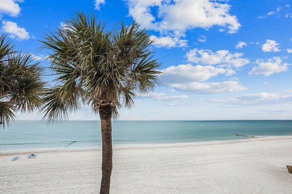 Condo, Multiple Beds (Trillium 2B - Premier) | Beach | On the beach